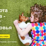 Фото №4 Стирка ковров с кондиционированием 120р/м2 (короткий ворс)