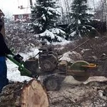 Фото №2 Расчистка участков!Все виды работ!