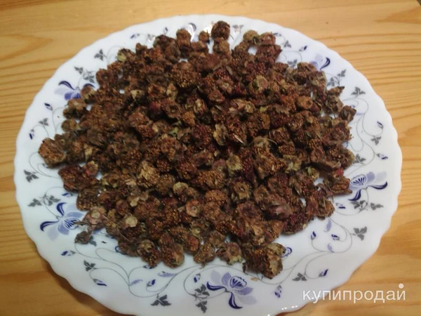 Фото Сушеная лесная клубника