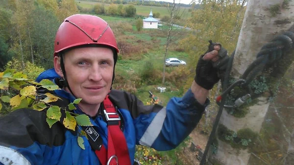 Фото Удаление сложных деревьев