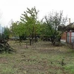 Фото №2 Заливка бетона, земляные работы, уборка