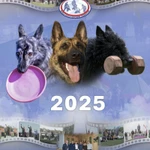 Фото №10 Презентации собак/кошек/лошадей/помета/вязки