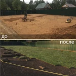 Фото №3 Газон посевной и рулонный