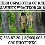 Фото №5 Обработка дачи от клещей Истра.Вызов специалиста