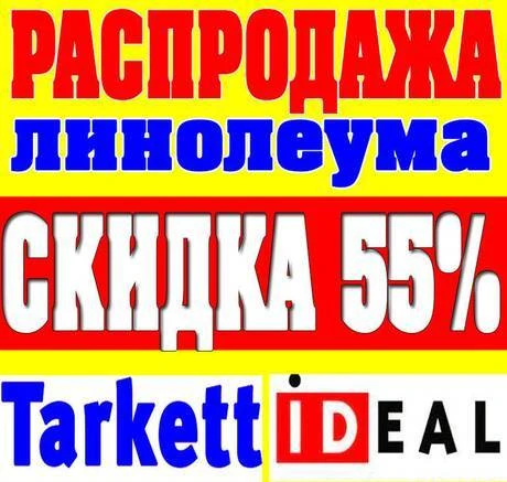 Фото Безупречное Качество Линолеума Tarkett И Ideal