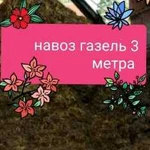 Навоз в мешках и газелью