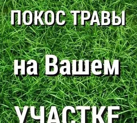 Фото Покос травы