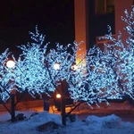 Фото №8 Украшение деревьев и зданий