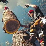 Фото №2 Промышленный альпинист Герметизация кровли горелкой