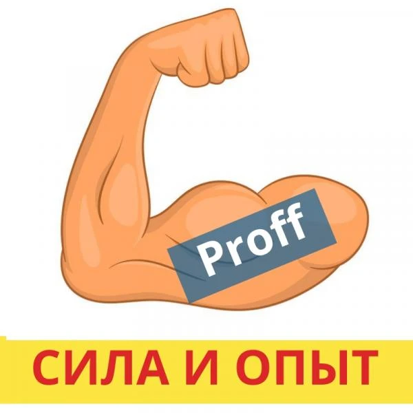 Фото Грузчики. вывоз мусора.Кисловодск