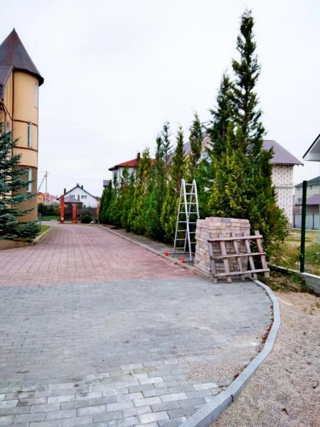 Фото Заказать стрижку живой изгороди