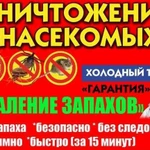 Уничтожение насекомых и грызунов