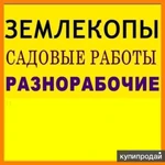 Фото №8 БЛАГОУСТРОЙСТВО ЗЕМЕЛЬНЫХ САДОВО-ОГОРОДНЫХ УЧАСТКОВ.