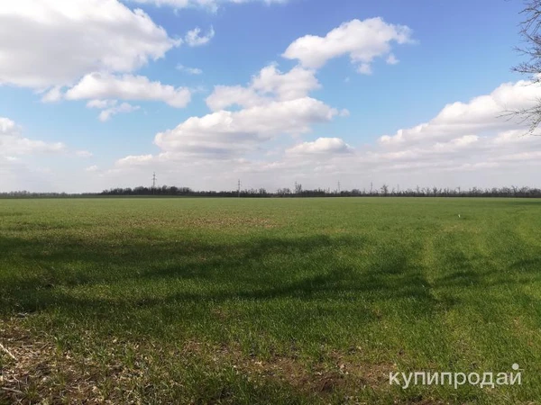 Фото Продам участок сельхозназначения 25000 кв.м.