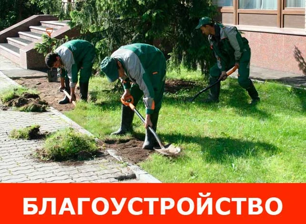 Фото Благоустройство территории в Курске