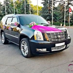 Фото №65 Свадебные машины, лимузины, микроавтобусы в Липецке