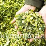 фото Кукурузный силос