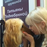Обучение искству груминга (стрижка собак) в Воронеже 