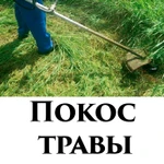 фото Покос травы