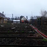 Фото №4 Вывоз ЖБО. Услуги ассенизатора. Рукав до 70м.