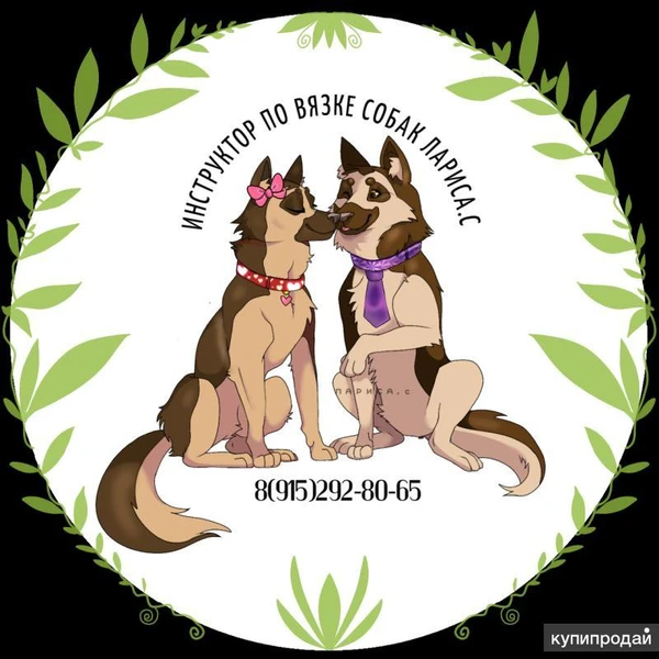 Опытный инструктор по профессиональной вязке собак