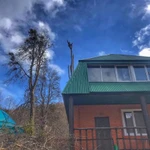 Фото №4 Профессиональный спил деревьев и кустарников