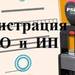 Открытие ооо и ип бесплатно (без похода в налогову