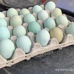 Фото №9 ия лакеданзи. Доставка