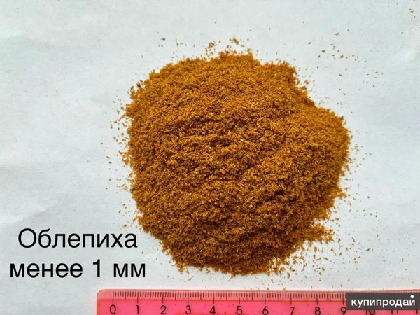 Фото сушенная облепиха (ягодный порошок) клетчатка