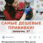 Ветеринарные услуги и груминг (стрижка кошек и соб