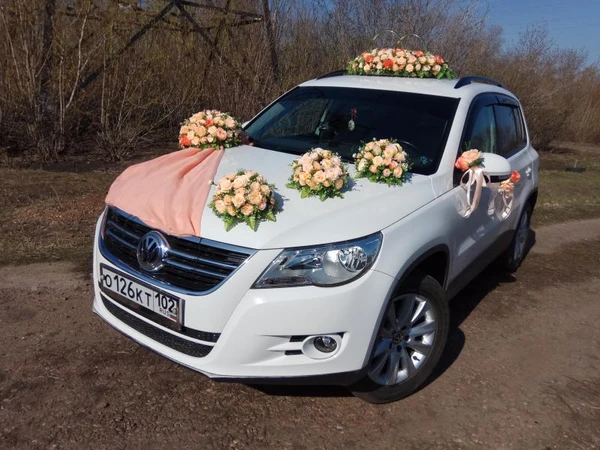 Фото Авто на свадьбу , аренда автомобилей.
