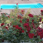 Фото №5 Сдаются номера Посуточно . Сезон 2025 . пос. Кучугуры