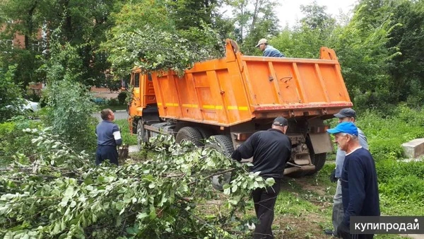 Фото Вывоз мусора с дачи вывоз строительного мусора