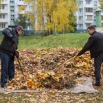 Разнорабочие. Грузчики