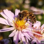 Фото №6 Фотограф для блога