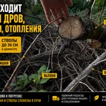 Фото №5 300 м³ древесины и веток бесплатно. Самовывоз