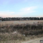 Фото №5 Срочно цена снижена! Участок в Зубарево