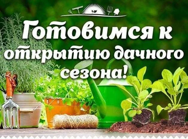 Фото Подготовка к дачному сезону.