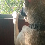 Фото №2 Умная