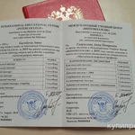 Фото №3 Оздоровительный классический массаж