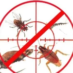 Уничтожение всех видов насекомых и грызунов