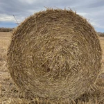 Фото №3 Солома ячменная в рулонах