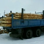 Фото №4 Срубы из зимнего леса Омская сосна