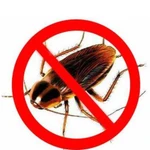 Уничтожение тараканов, клопов и других насекомых
