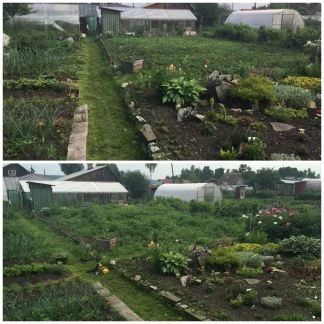 Фото Покос травы Миасс