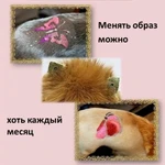 Фото №5 Стрижка собак и кошек