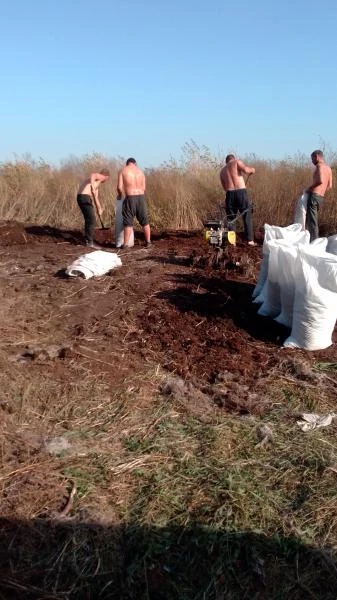 Фото Навоз перегной в мешках