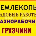 Земельные работы.Копаем огороды.Уборка территории.Армавир