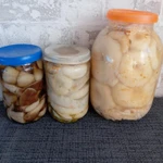 фото Грузди солёные, хрустящие, отварные, собранные в бору