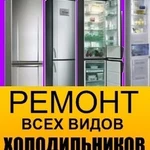 Ремонт холодильников любой марки и сложности 